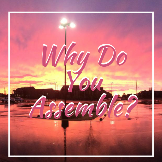 Why DoYou Assemble_
